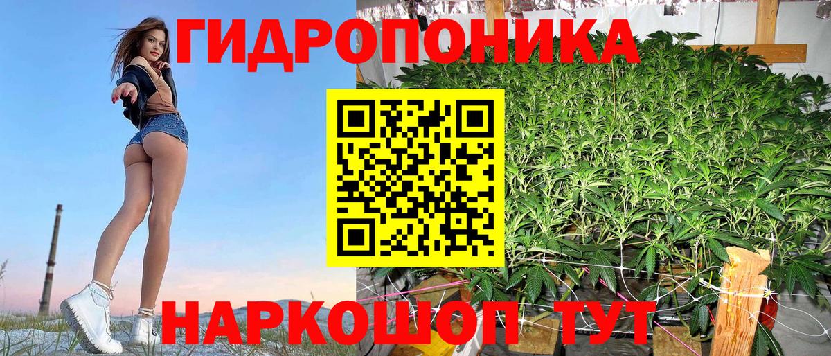 Канабис AK-47  Каннабис гибрид  Красноармейск  Вход с VPN  Каннабис сатива 